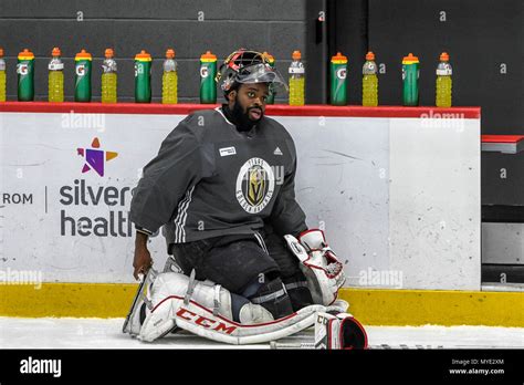 lv knights subban|Malcolm Subban .